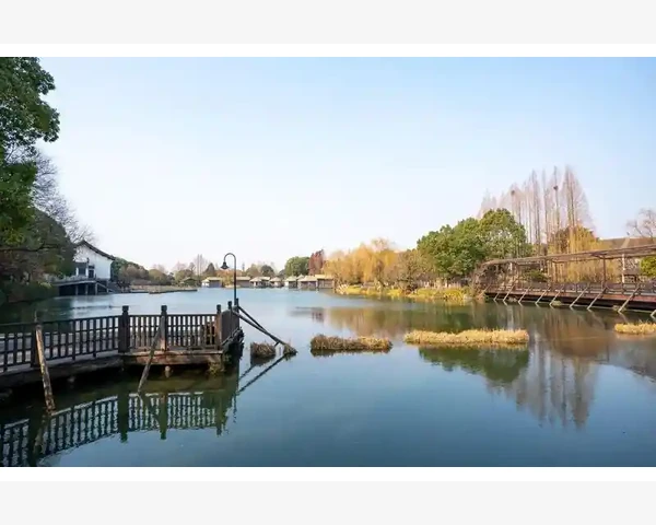 中医论文：化痰散结——中医呼吸道疾病的治疗方法